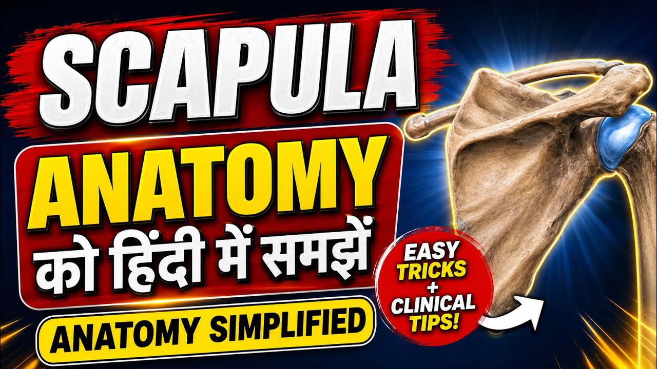 SCAPULA ANATOMY को हिन्दी में समझे | Anatomy of scapula | scapula Bone
