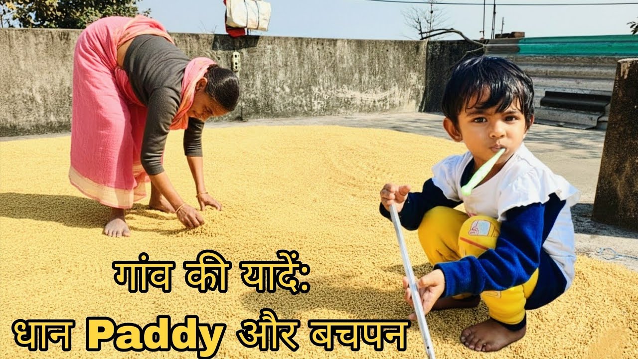 Memories of Village Life: धान (Paddy) सुखाना और बचपन के वो दिन ❤️