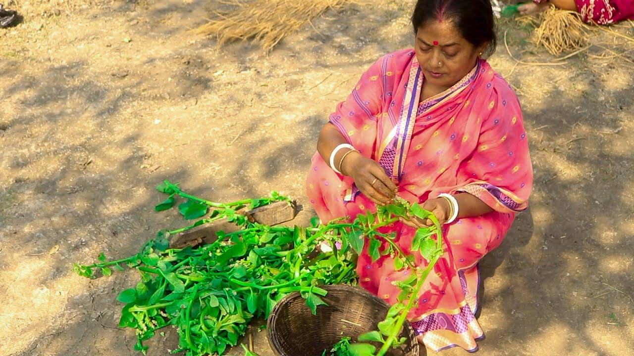 PUI BITULI TRADITINAL VILLAGE RECIPE | Malabar Spinach Cooking