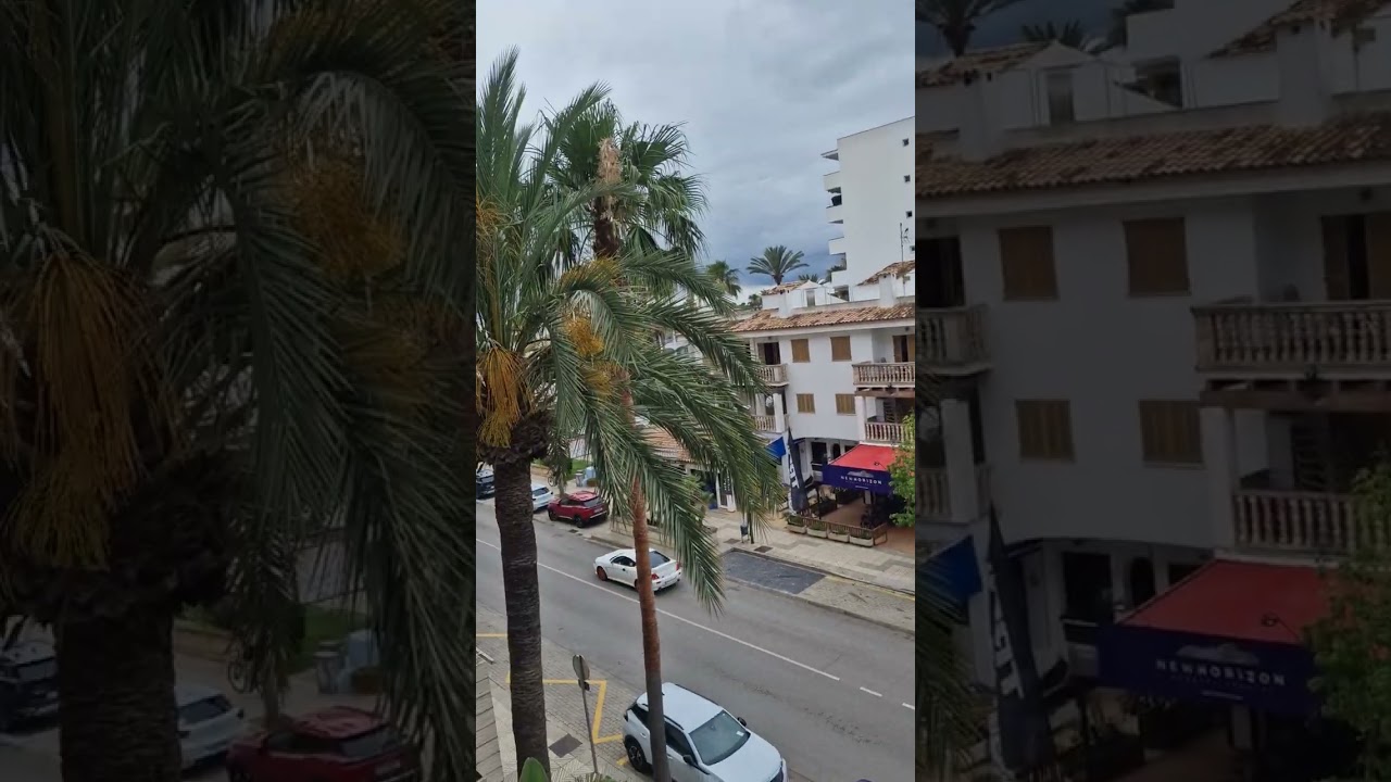 Bahía de Alcudia Hotel & Spa Room 328 tour