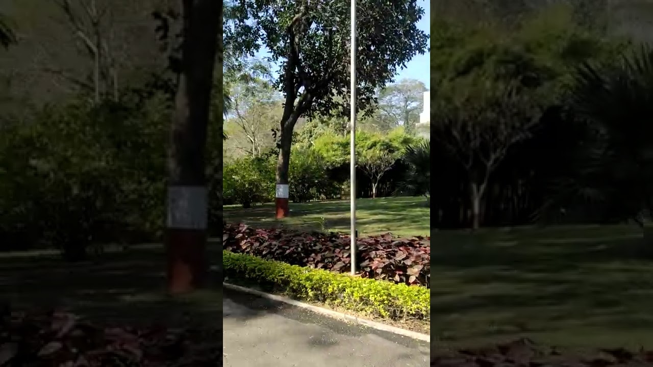 grasim nagda Birla house garden and cinema hall at entrance