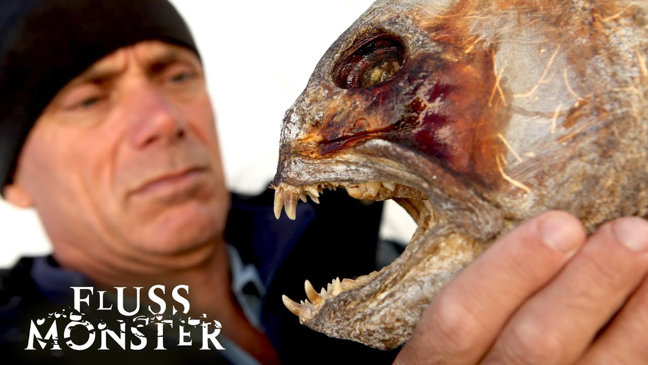 Die Legende von Loch Ness: Wird Jeremy die große Legende entdecken? | S5 E05 | Fluss Monster