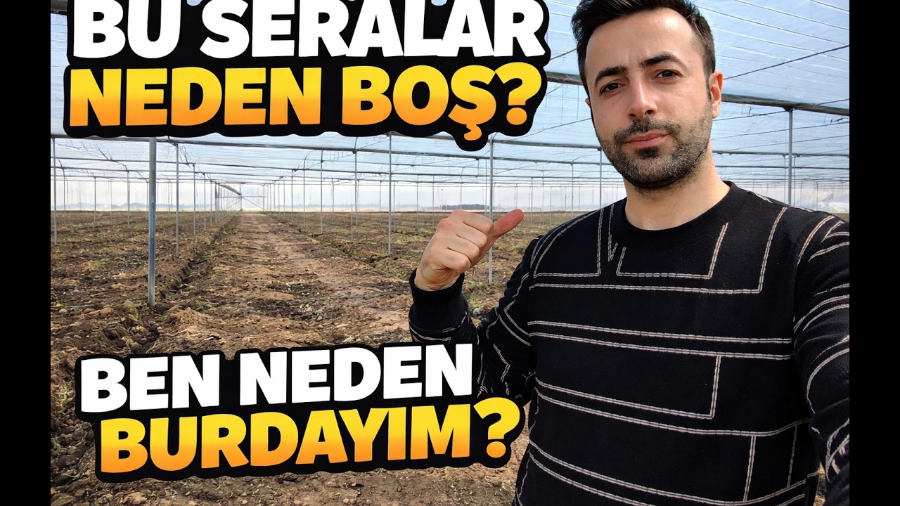 Seraların içi boş... ( Aradığını bulabilirsin de ).