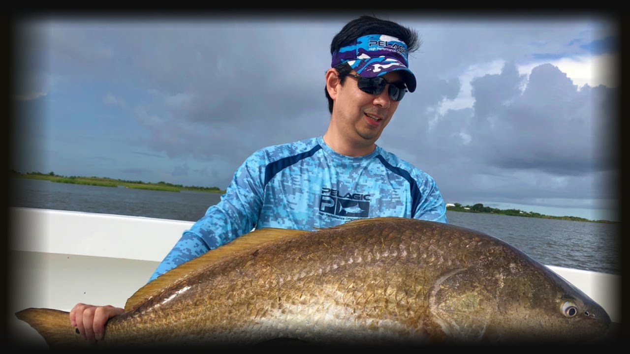 Goljan or redfish is a fish with bright coloration
