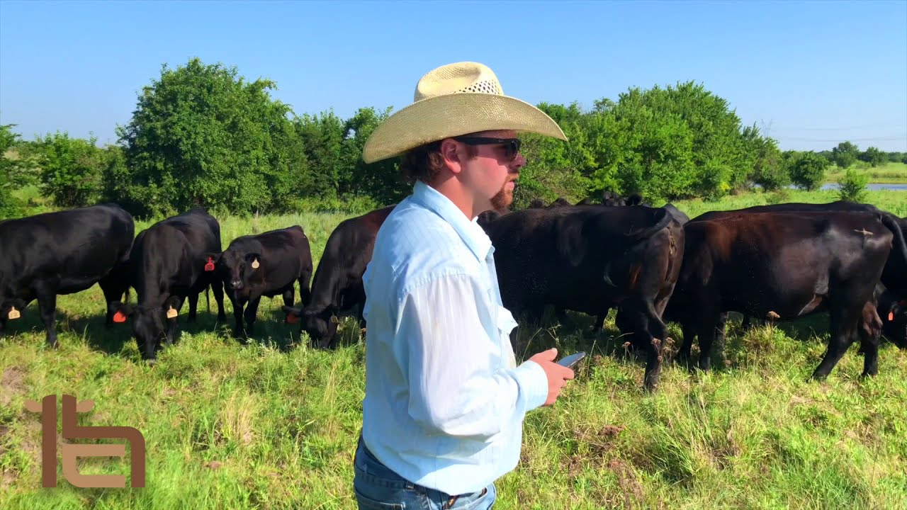 Herd Connect - Informational Video - Herd and Cattle Management App for PC, iPhone and Android