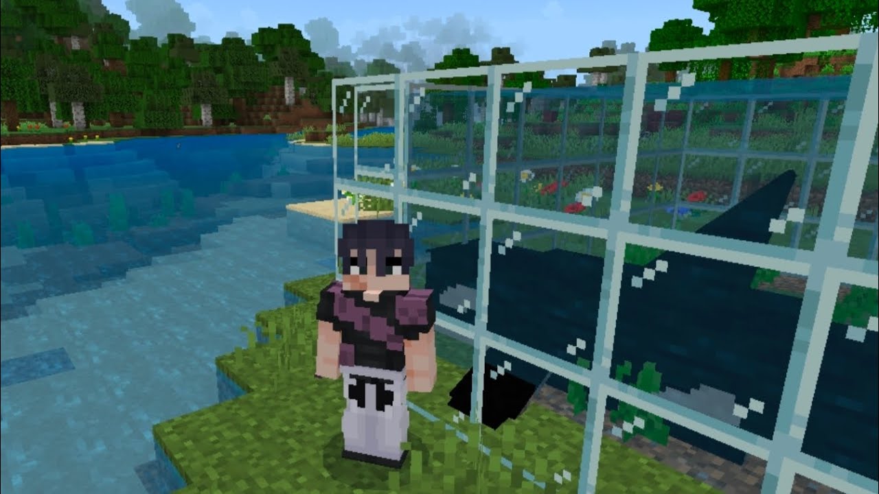 Recommend me mods with an orca whale and animations for a shoutout! Read description