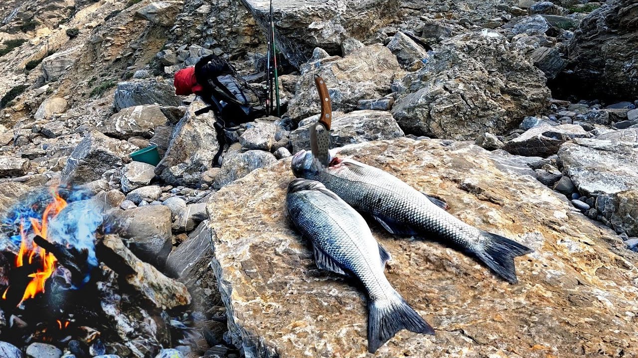 Free Living: 48 Hours in Nature Cooking in the Wild and Fishing with Simple Methods