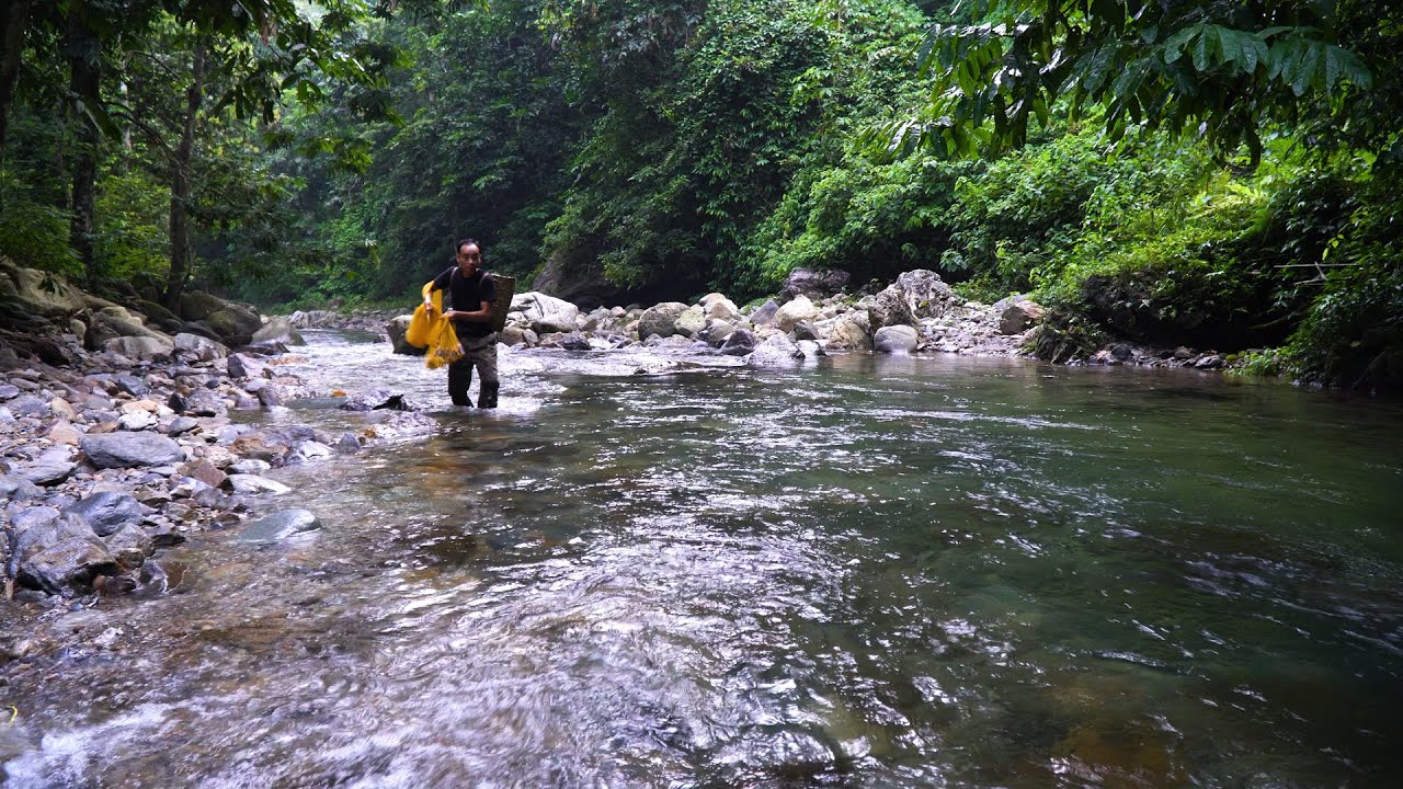 Fishing the Raging Stream Alone | LIVING OFF THE GRID | Episode 89