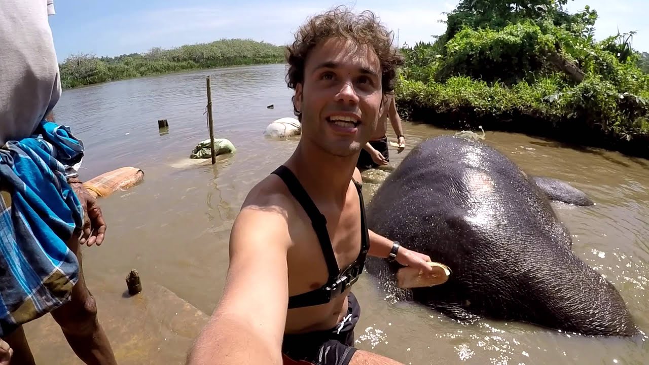 Elephant Riding and Wash - Cavalcare Lavare l'Elefante Sri Lanka