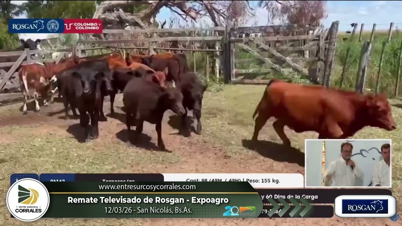 12-03-26 - Remate Televisado de Rosgan - Expoagro, San Nicolás, Bs.As.