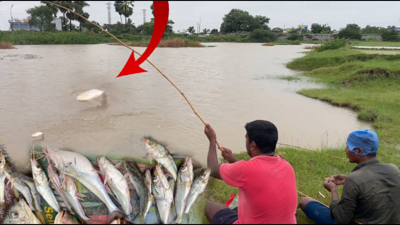 Big Size ఎటి జెల్లా చేపలు చాల రోజుల తరువాత మల్ల పట్టినం ఏసుడు తీసుడే మామ bros