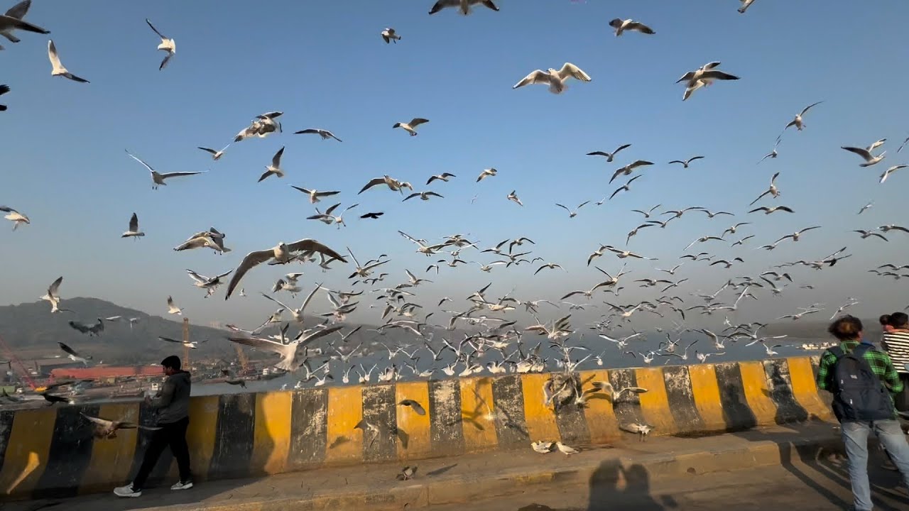 Beautiful location 😲😍😲#trending #viral #love #viralvideo #video #funny #comedy #fyp #subscribe #like