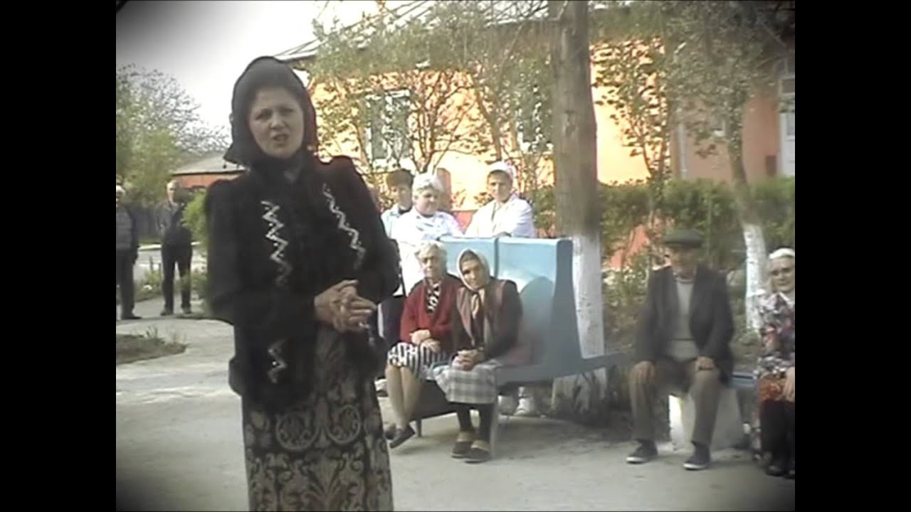 Irina Loghin - Azilul de batrani