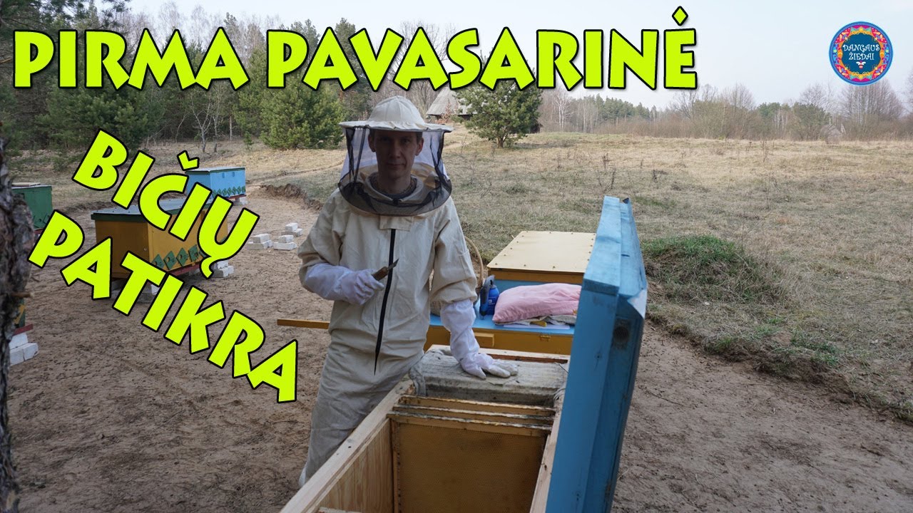 Pirma pavasarinė bičių patikra!