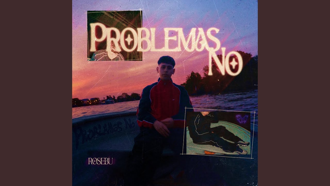 PROBLEMAS NO