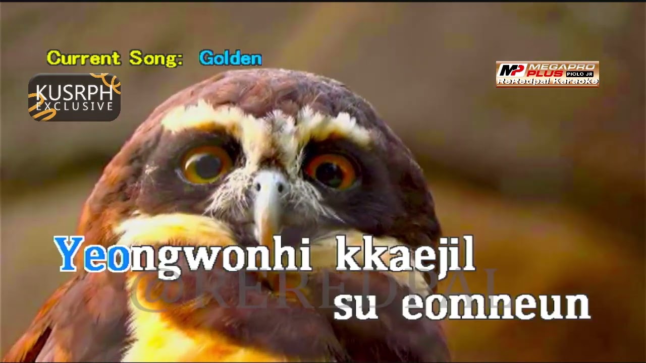 Golden - Huntrix || Megapro plus midi karaoke 