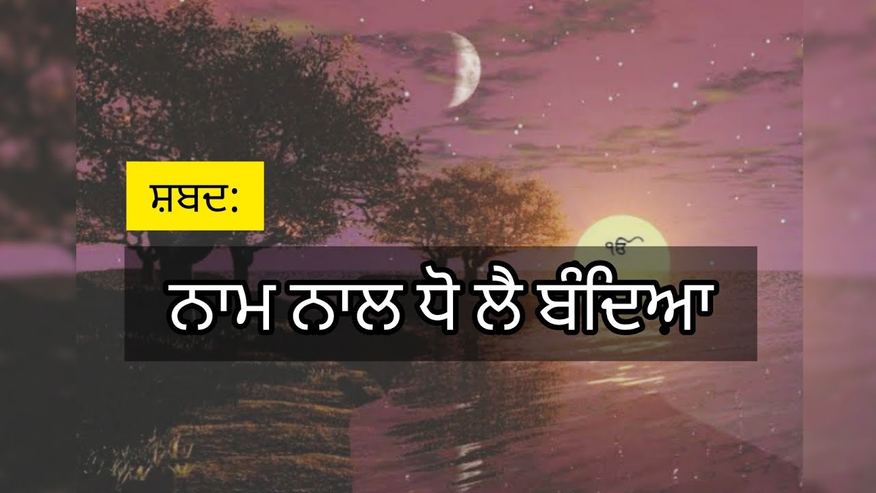 ਨਾਮ ਨਾਲ ਧੋ ਲੈ ਬੰਦਿਆ || Dholki wale Shabads by SoulTies Shabads || With lyrics||