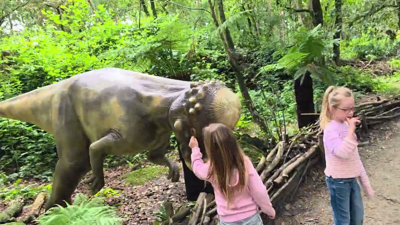 Dinobos, Dierenpark Amersfoort,  2-8-2025