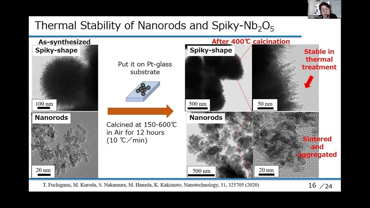 Spiky-shaped Nb2O5 Nano-architecture: Synthesis, stability and Acid Catalytic Application