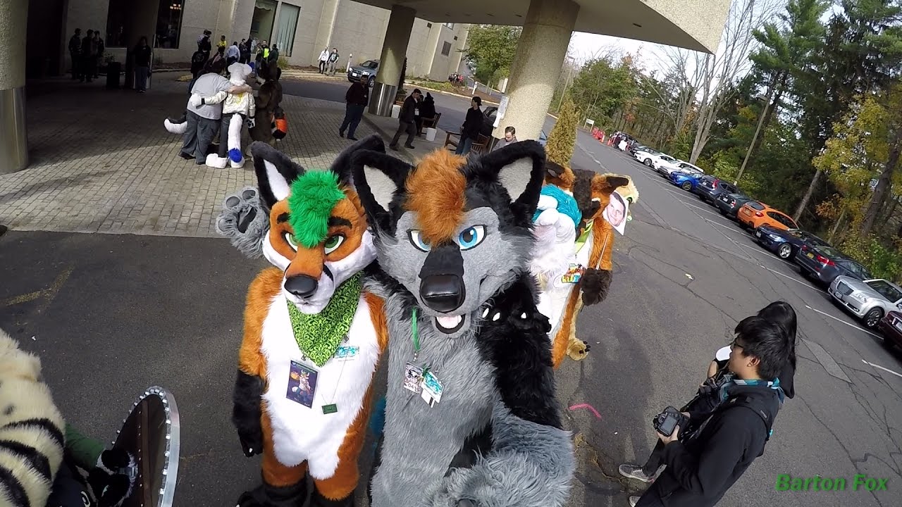 Furpocalypse 2016 - Random Clips