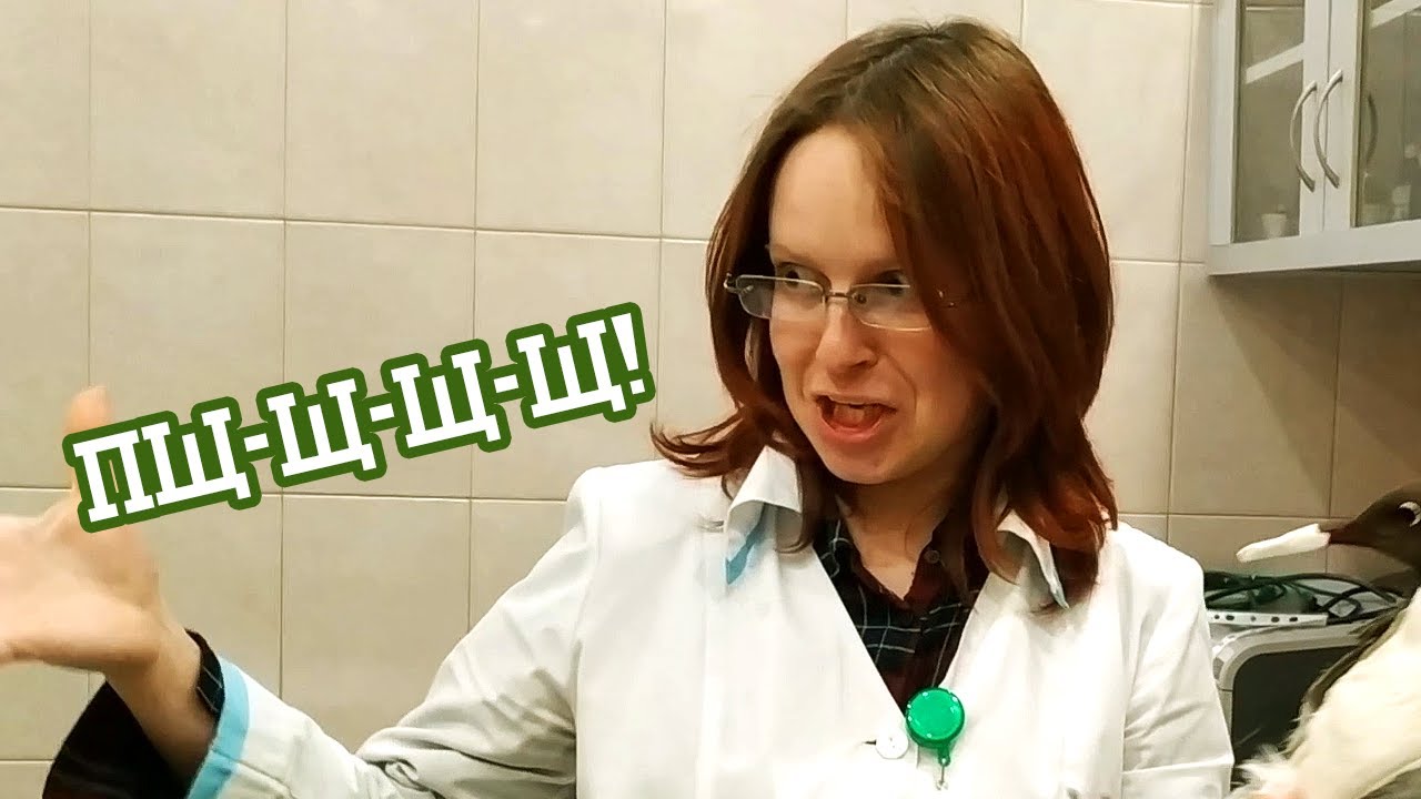 Камышовка и компания [летний архив]
