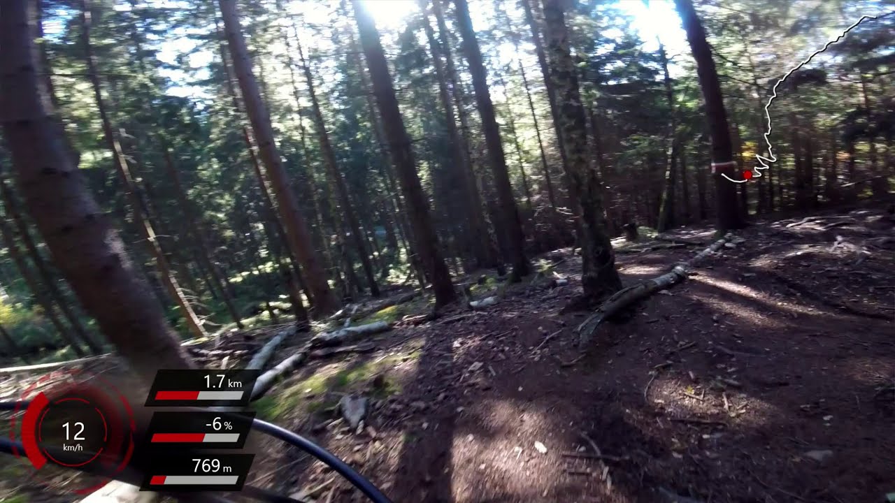 Trailcenter Rabenberg - Crossed Viper Downhill