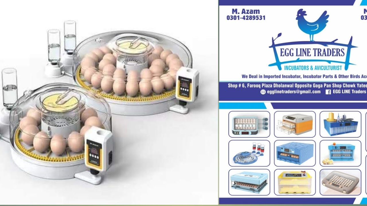 EGG INCUBATORS AC AND DC FULLY HD DISPLAY . 03001294129
