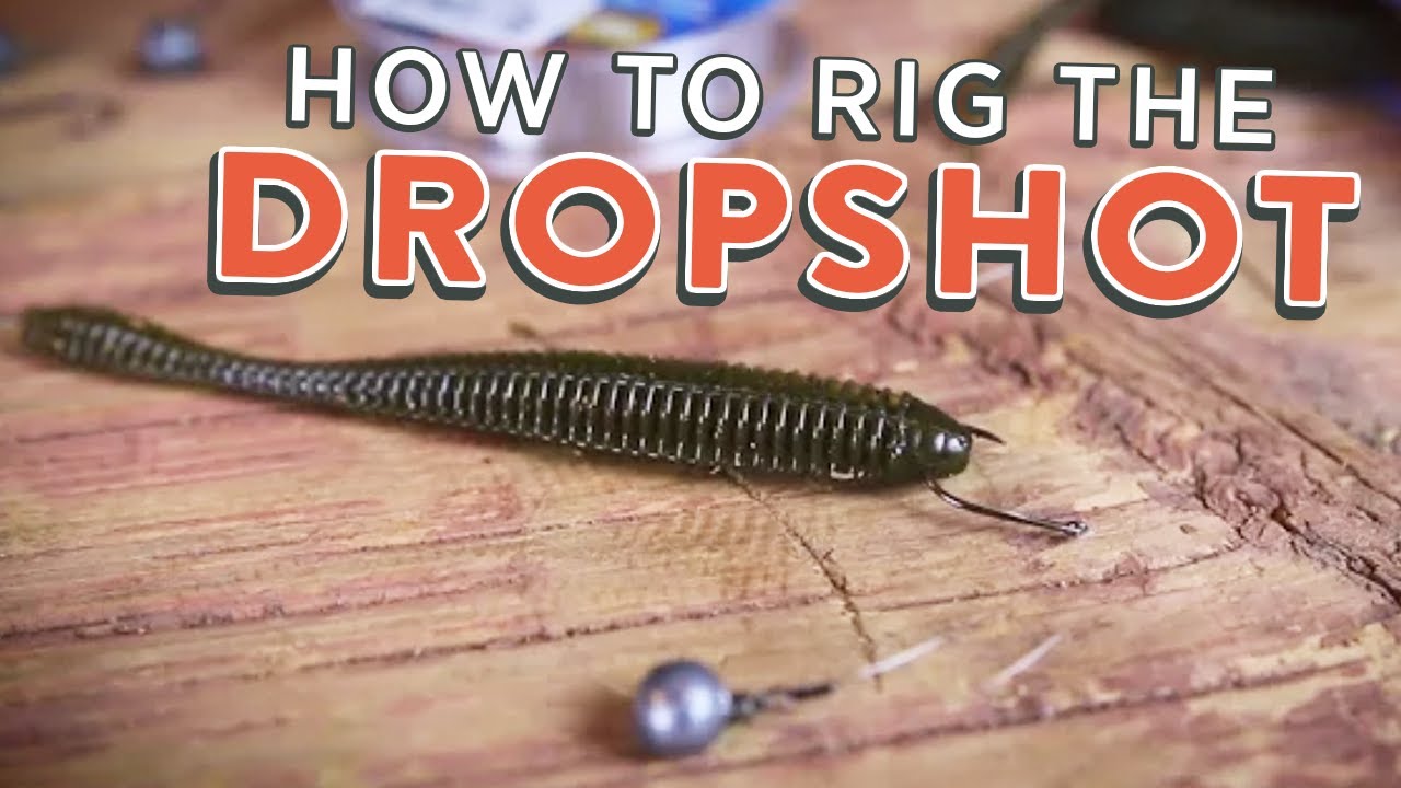 Drop Shot Rig: How To Rig the Drop Shot (Tutorial)