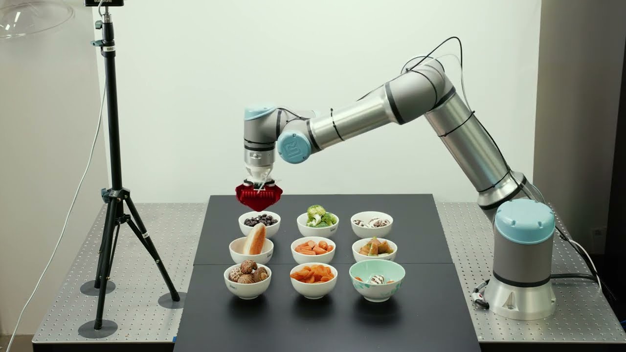 What is Embodied AI?