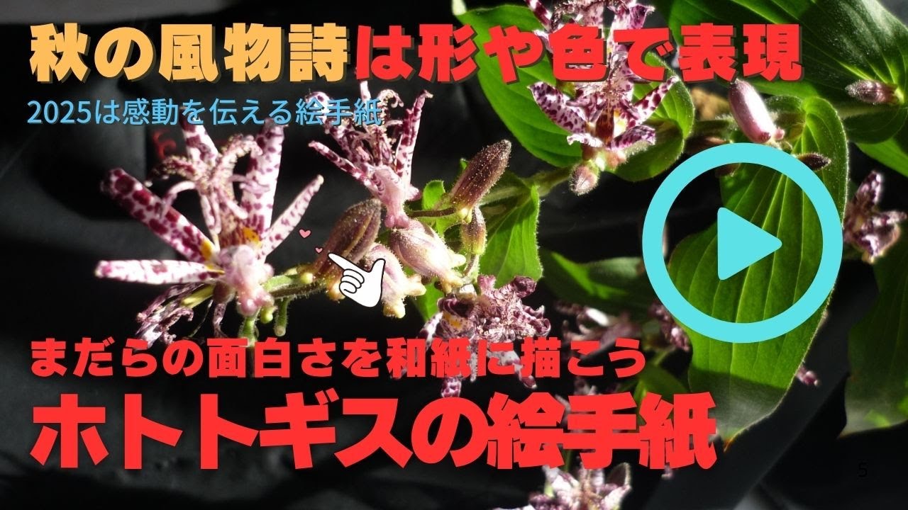 いよいよ秋になりホトトギスが見られるようになりました。長めの和紙に紫の点が美しい花を描いています