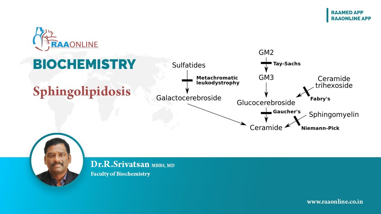 Sphingolipidosis
