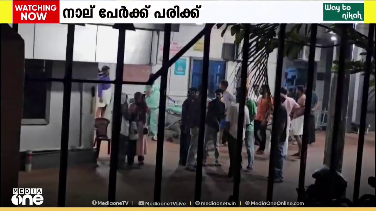 പാലക്കാട് വെടിക്കെട്ടിനിടെ അപകടം ; നാല് പേർക്ക് പരിക്ക്