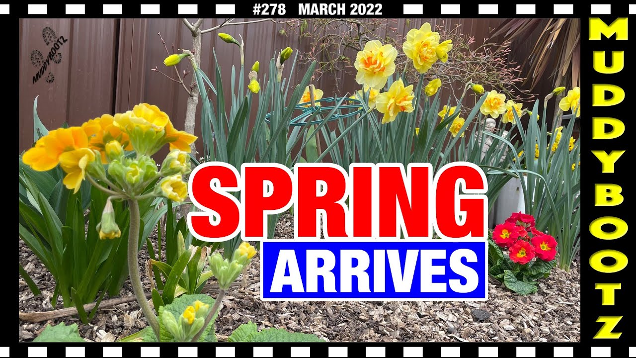 🌻278 🌻 ПРИХОДИТ ВЕСНА 🌻 ПОСЕВ ГОРОХА 🌻 ПОСАДКА КЛУБНИКИ 🌻