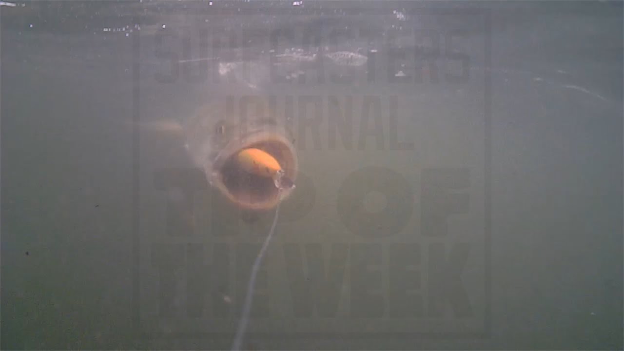 Surf Fishing Tip Of The Week # 4 -SP Minnow modification with Dave Anderson