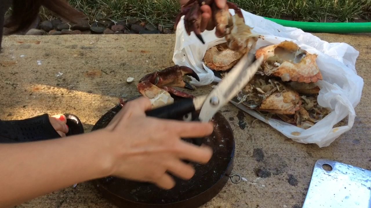 Catch, Clean and Cook Rock Crabs