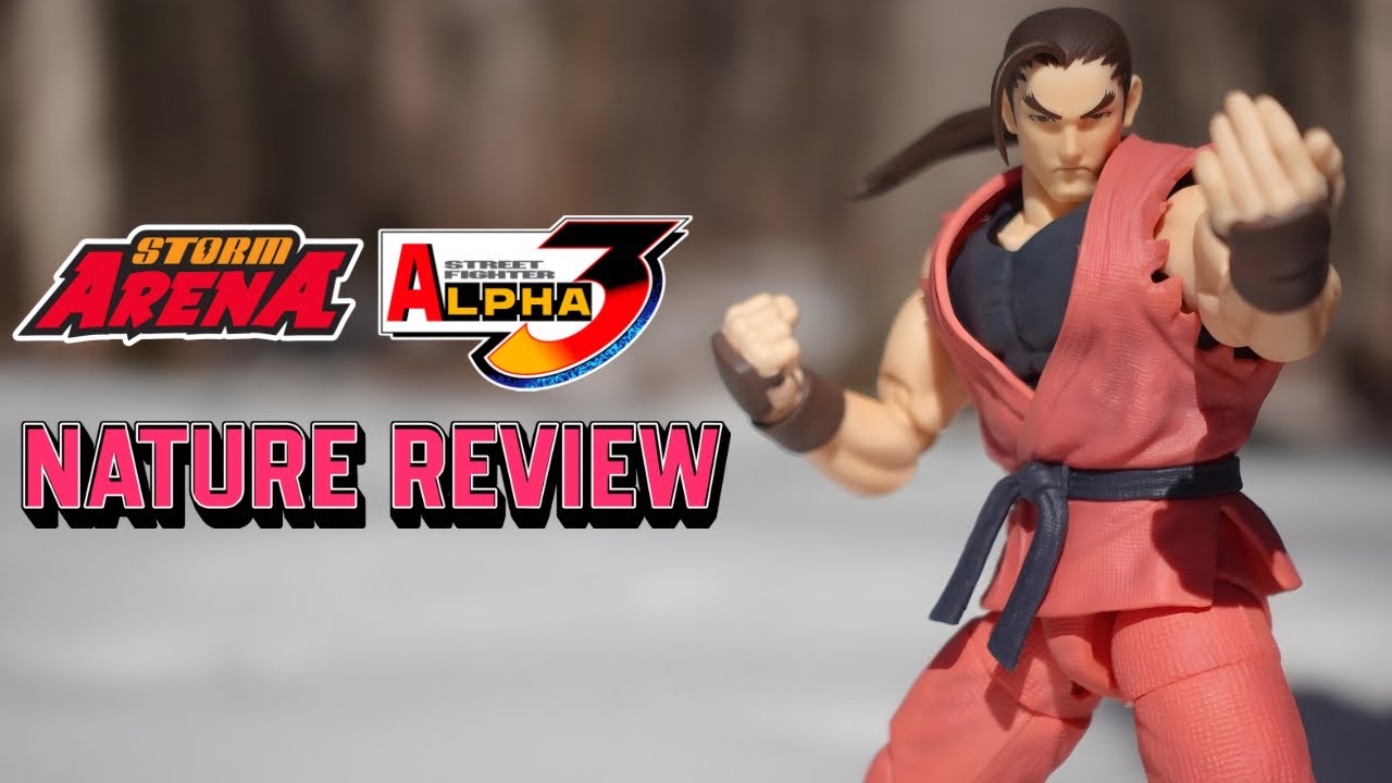 STORM ARENA STREET FIGHTER ALPHA 3 DAN HIBIKI - NATURE REVIEW