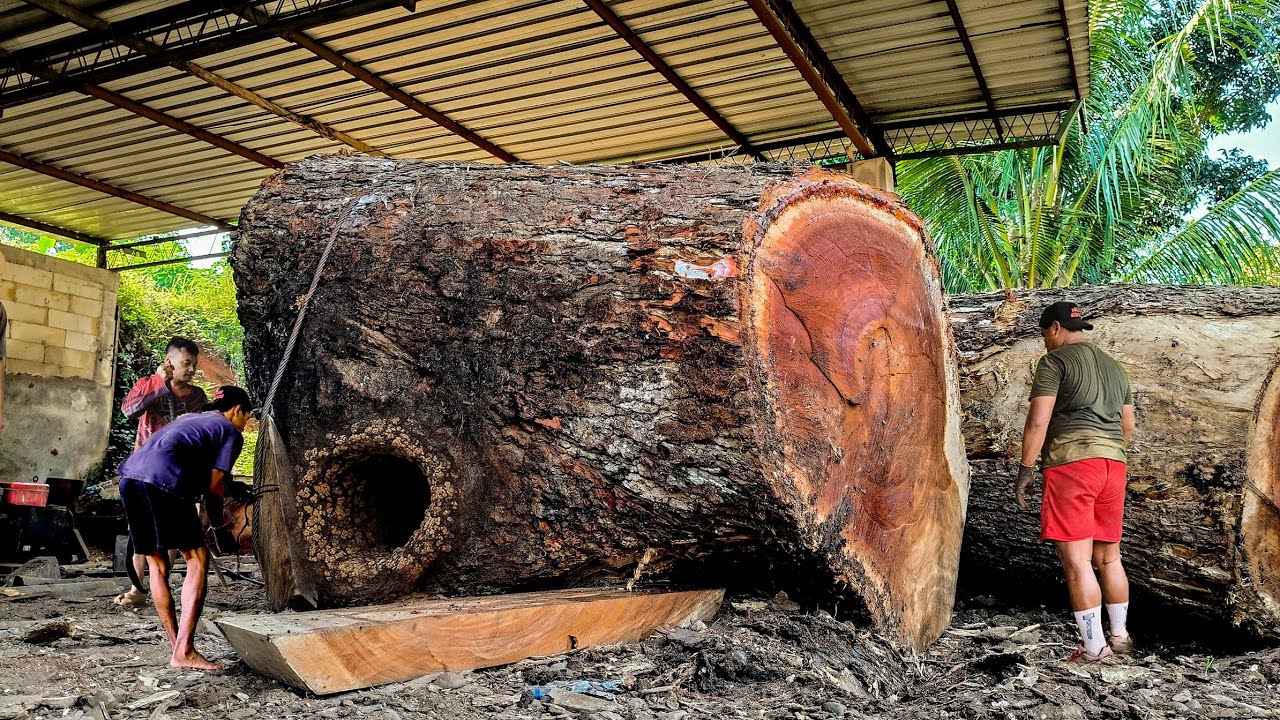 THE COURAGE of a sawmill operator produces a world class work of art