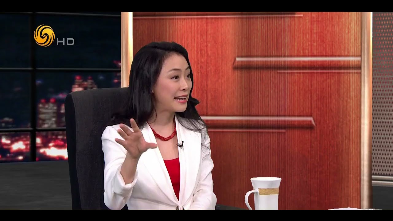 20150410《锵锵三人行》：反水客导致内地游客下降