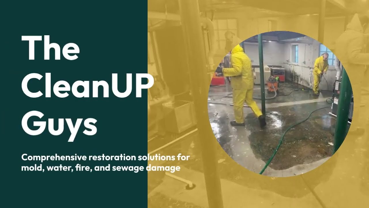 The CleanUP Guys &ndash; Fast & Reliable Flood Damage Restoration and Sewage Cleanup Services in Chicago