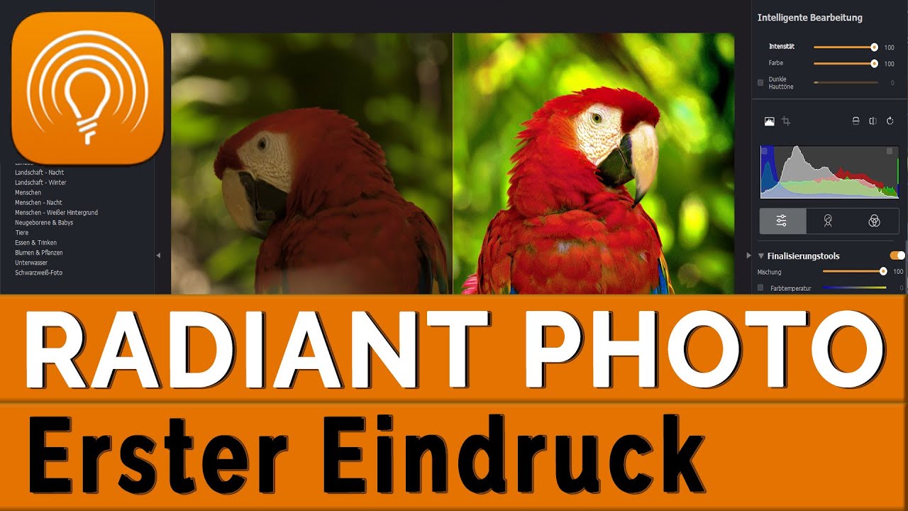 RADIANT PHOTO  ||  Ein neuer Stern am Fotohimmel?  ||  Erste Eindrücke