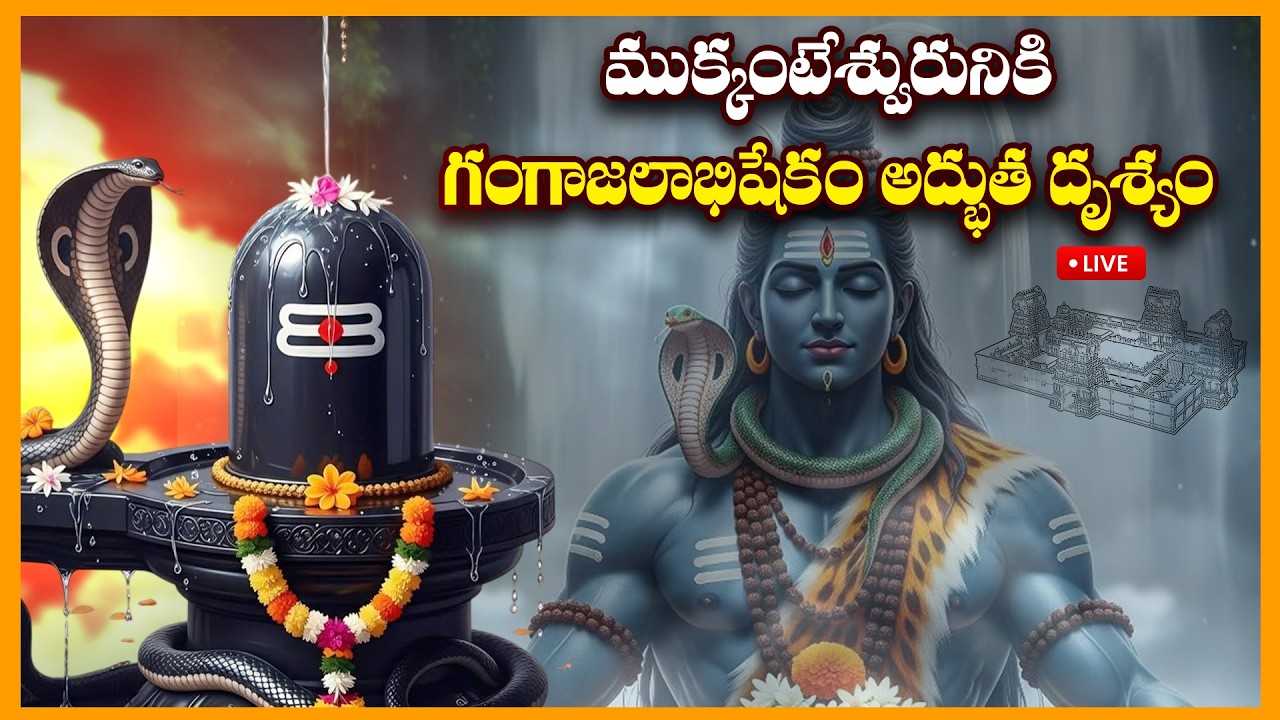 బుధవారం వేళ పుణ్యలింగేశ్వరుడికి అభిషేకం దివ్య అలంకరణ