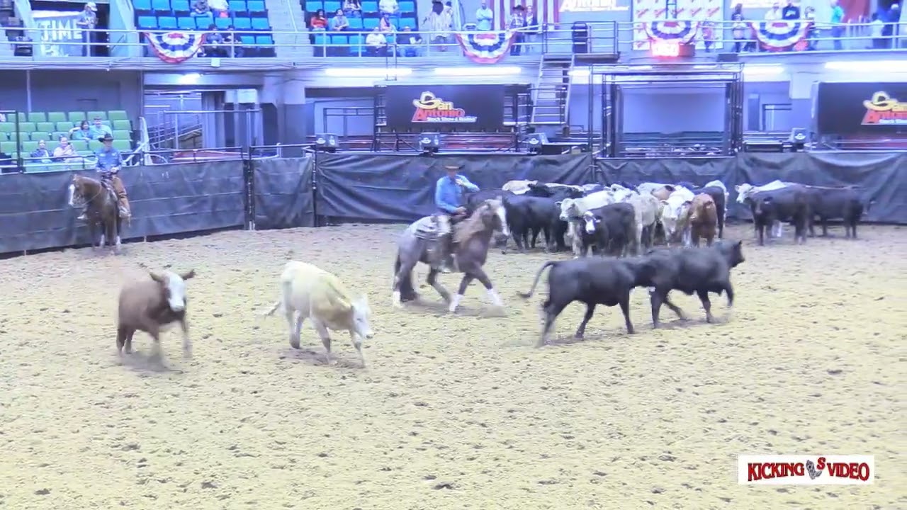 MY THREE DESIRES - San Antonio 25 NH