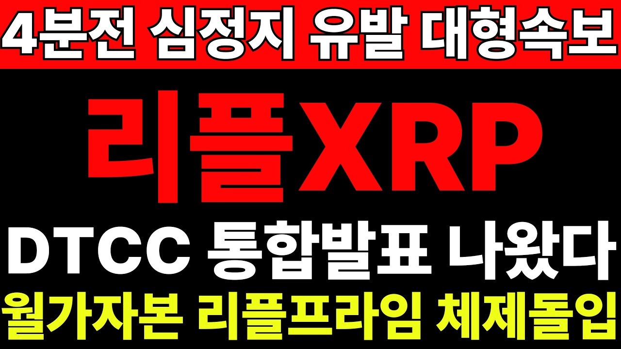리플! 터졌다!  월가 자본 리플로 집중 DTCC 정식허가 나왔다 XRP 가격과 반대로 보셔야 합니다.