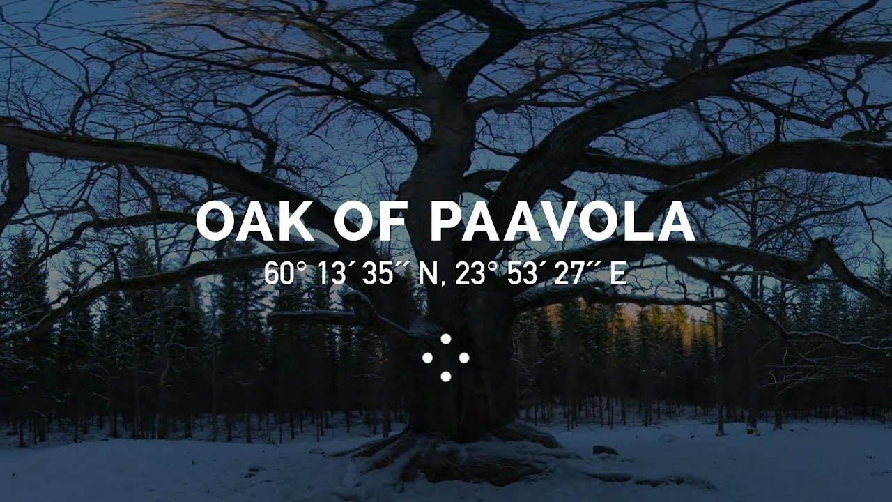 360&deg; Ancient Oak of Paavola, Lohja | 100 Moods From Finland