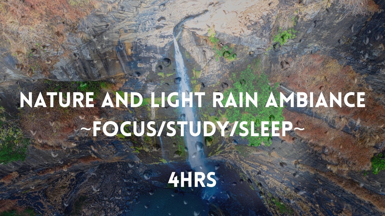 4 Hours Nature Sounds with Light Rain 🌧 Black Screen | Relaxing Sleep & Focus Ambience