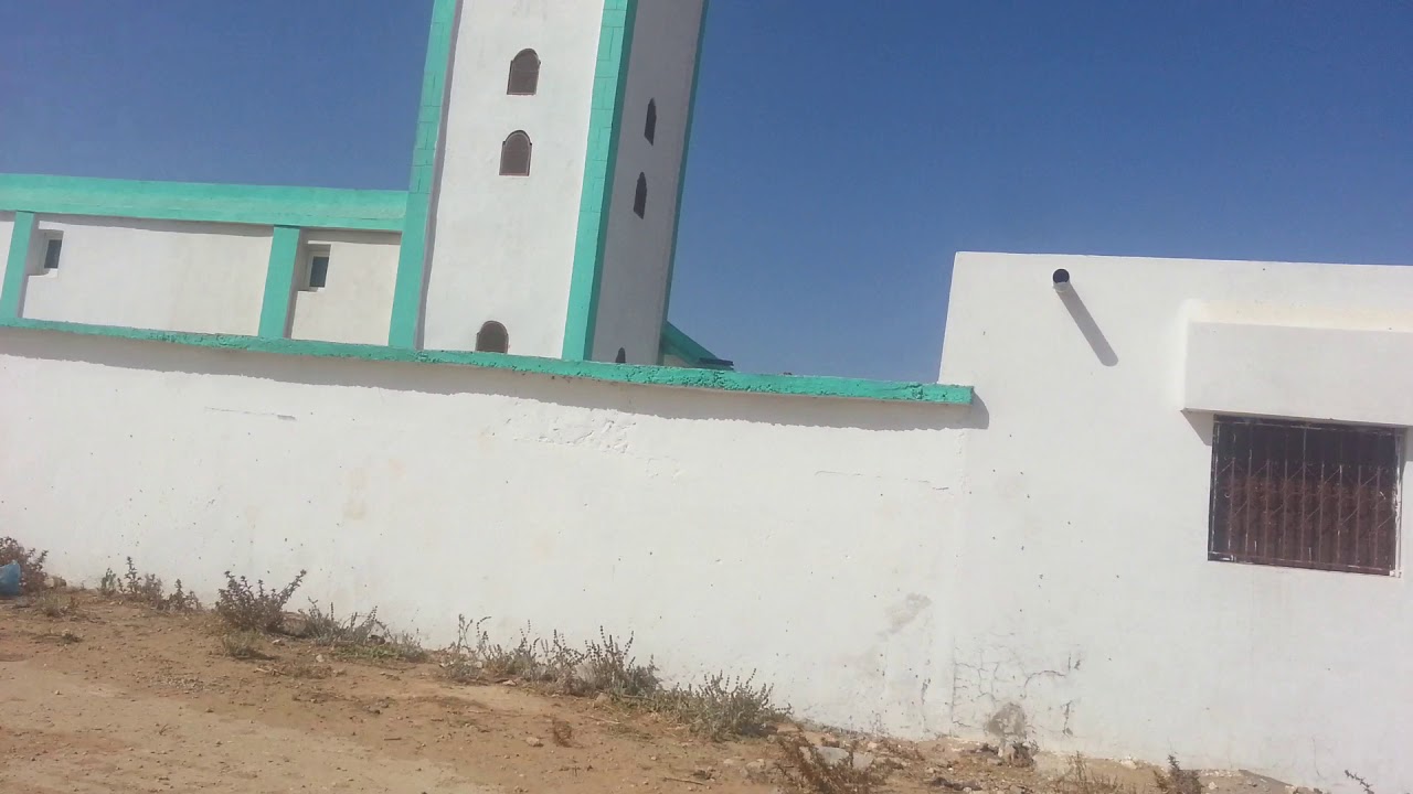 إتنين الغربية دوار الطيور
