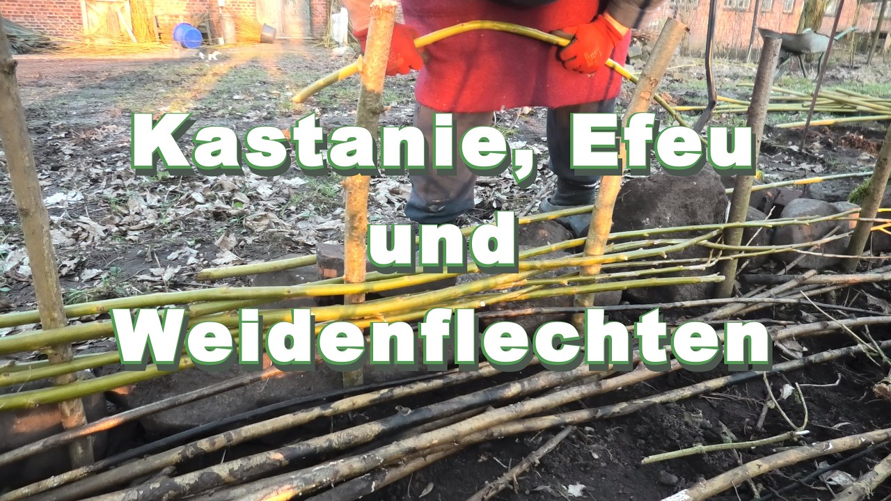 Plötzlich war die Sägekette Schrott