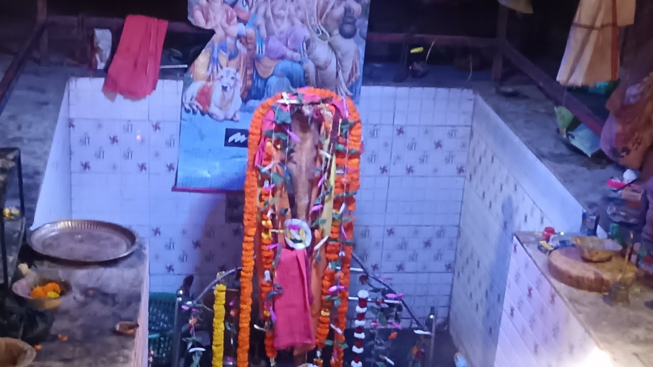 ବାବା ଲୋକନାଥ ଙ୍କ ପାଖରେ rudrabhiseka ହେଲା//suchitra jena vlogs 