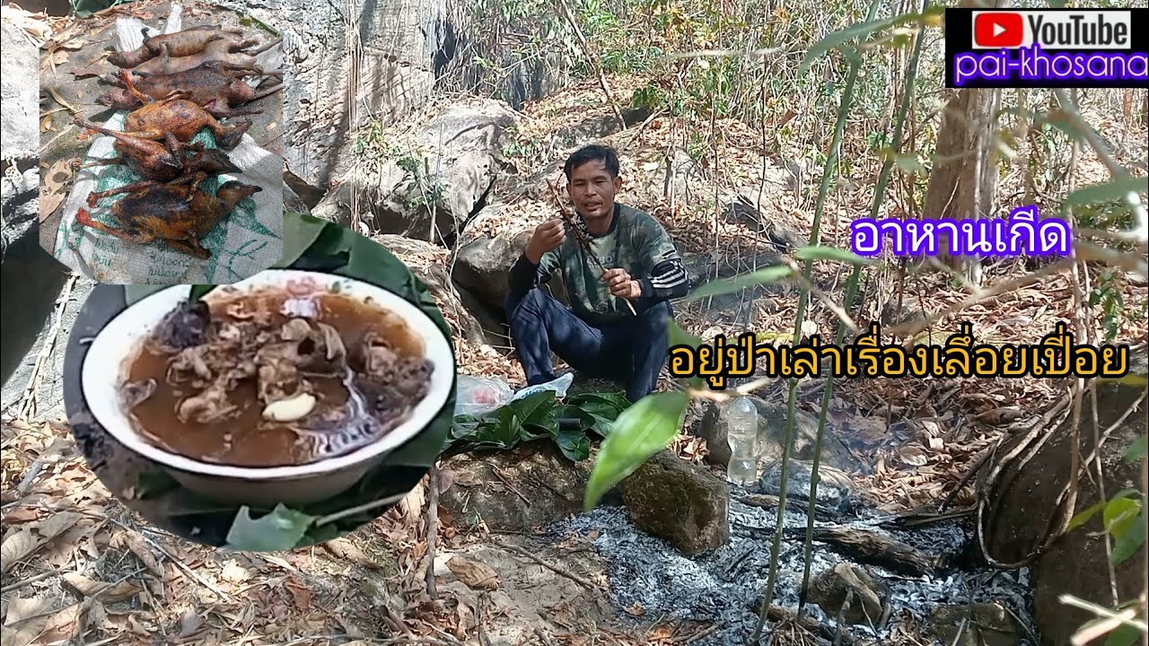 อยู่ป่าคึนที4คนเดียวกินแกงกะรอกดิน,กะจ้อน//ຢູ່ປ່າຄືນທີ4ຄົນດຽວ,ກິນແກງກະຮອກ,ກະຈ້ອນ//pai-khosana