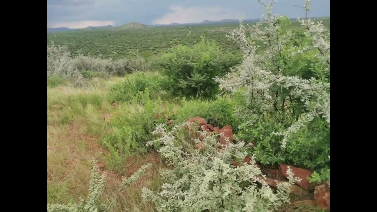 SPECIALIST IN SUBDIVISION OF FARM LAND WAIVER, LANDTAX & CONSENT APPLICATIONS 